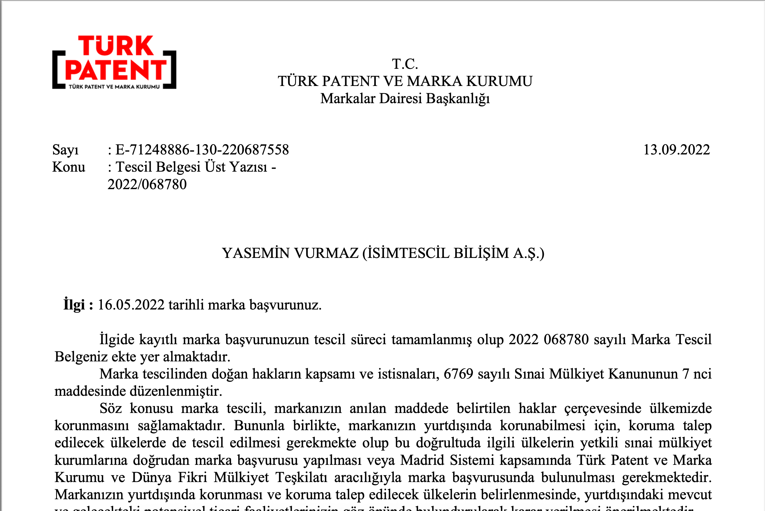 File Preview