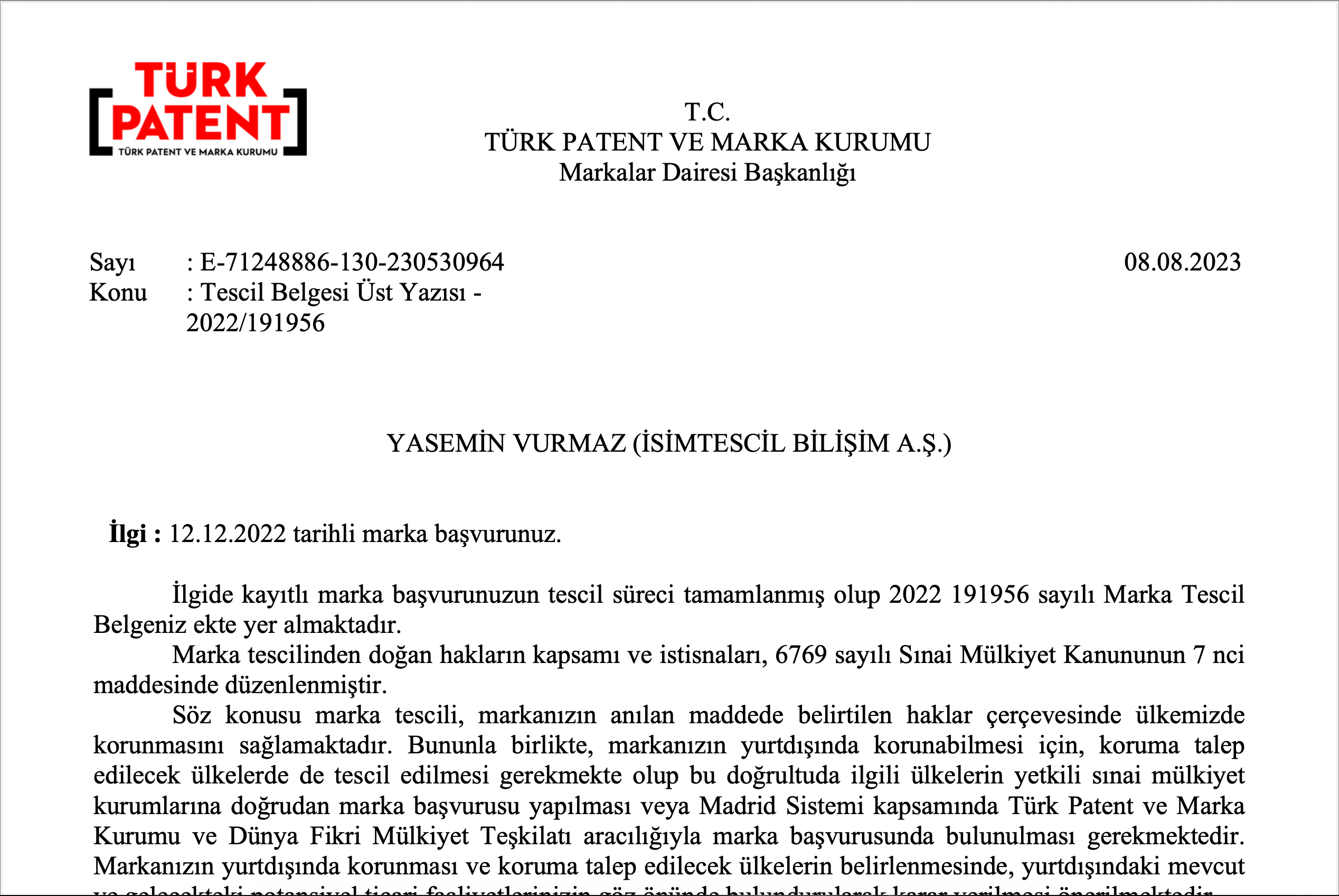 File Preview